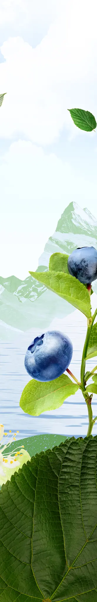 josephine bandeau 2 vf