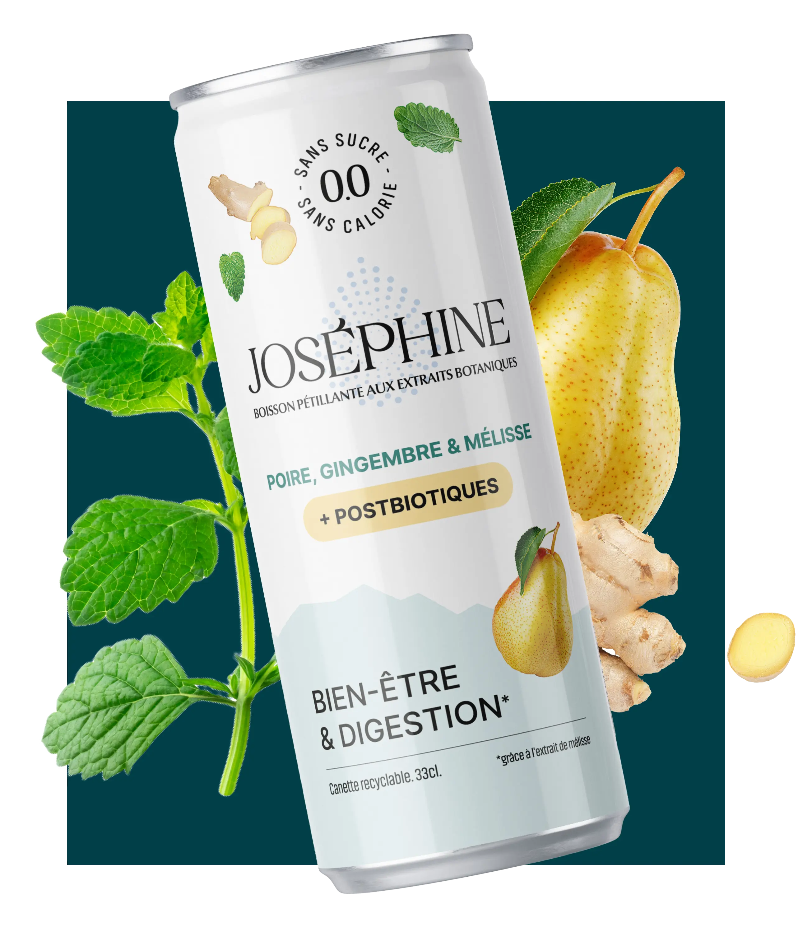 josephine img new cannette